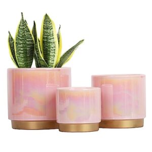 gepege pink indoor plant pots for plants, ceramic planter with drainage hole, 6.0 inch+5.0 inch+4.0 inch. succulent orchid flower pot - rainbow pearl glaze