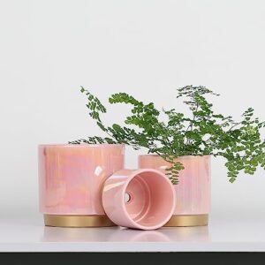 Gepege Pink Indoor Plant Pots for Plants, Ceramic Planter with Drainage Hole, 6.0 inch+5.0 Inch+4.0 Inch. Succulent Orchid Flower Pot - Rainbow Pearl Glaze