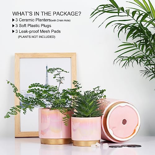 Gepege Pink Indoor Plant Pots for Plants, Ceramic Planter with Drainage Hole, 6.0 inch+5.0 Inch+4.0 Inch. Succulent Orchid Flower Pot - Rainbow Pearl Glaze