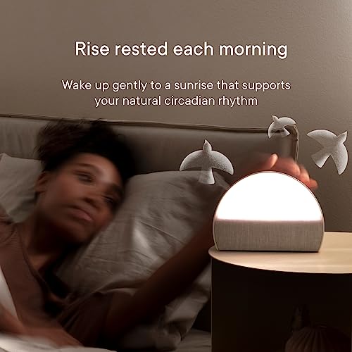 Hatch Restore 2 | Sunrise Alarm Clock | Sound Machine | Bedside Dream Machine | Smart Light | White Noise | Custom Sleep Routines | Dimmable Clock | Deep Sleep | Gentle Alarm | Wake Up Rested | Slate