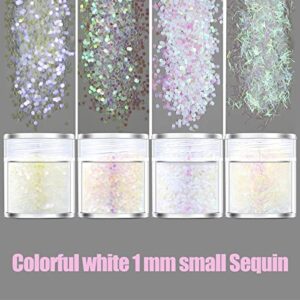Little Rhinestones Festival Cosmetic Boxes Sequins Set Nail Glitters White Colorful 4 Nail Organizers and Storage for Nail Tech
