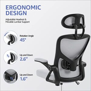 Yaheetech Executive Office Chair Ergonomic Desk Chair High Back Mesh Computer Chair with Lumbar Support Adjustable Armrest, Backrest and Headrest Swivel Chair for Manager Conference Room,Light Gray