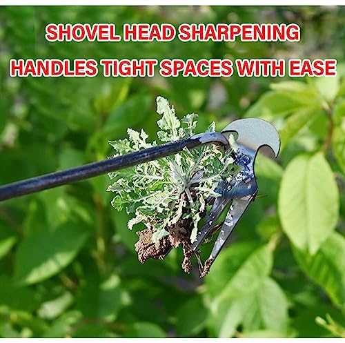 KODEQ 2023 New Weeding Artifact Uprooting Weeding Tool, Premium Manganese Steel Forged Weed Puller 4 Teeth Dual Purpose Weeder, Manual Household Agricultural Tool Weed Remover (C)