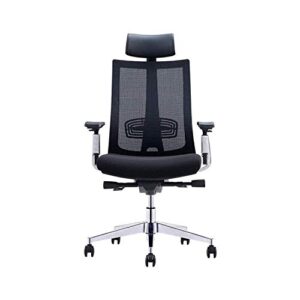 MXIAOXIA Office Chair, Breathable Mesh Computer Chair with Ergonomic Adjustable Lumbar Support Chair with Adjustable Armrest and Headrest, Soft Cushion Seat (Color : D)