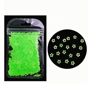 9PCS Nail Set,Glow In The Dark Glitter Luminous Nail Glitter Chunky Glitter Craft 9 colors fluorescent nail