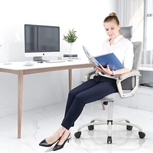 Office Chair, Ergonomic Mesh Home Office Computer Chair with Lumbar Support/Adjustable Headrest/Armrest and Wheels/Mesh High Back/Swivel Rolling