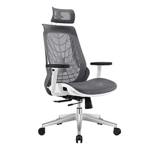 riloop office chair chair ergonomic, computer chair adjustable seat height with back support and arms, desk chair comfy, study chair for home, office and executive