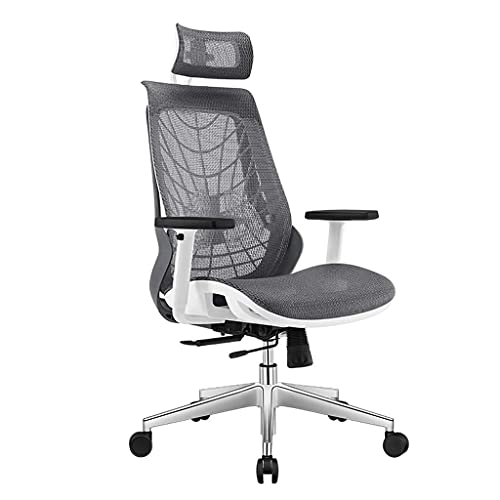 RILOOP Office Chair Chair Ergonomic, Computer Chair Adjustable Seat Height with Back Support and Arms, Desk Chair Comfy, Study Chair for Home, Office and Executive