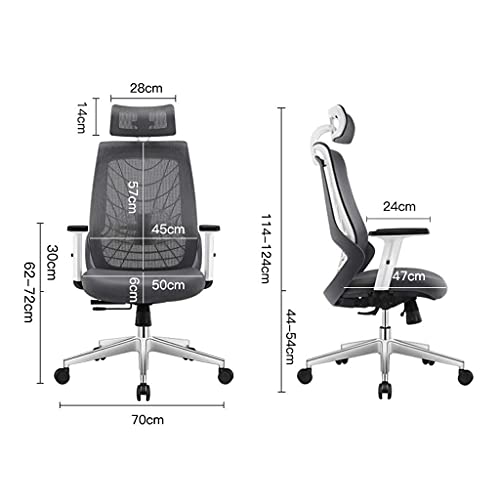 RILOOP Office Chair Chair Ergonomic, Computer Chair Adjustable Seat Height with Back Support and Arms, Desk Chair Comfy, Study Chair for Home, Office and Executive