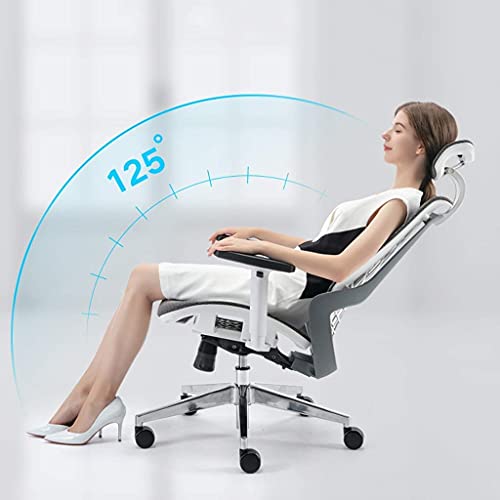 RILOOP Office Chair Chair Ergonomic, Computer Chair Adjustable Seat Height with Back Support and Arms, Desk Chair Comfy, Study Chair for Home, Office and Executive