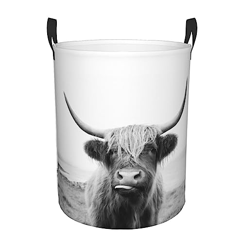 Large Laundry Hamper Scottish Highland Cow on Isle of Mull Collapsible Round Storage Basket Water Resistant Nursery Organizer Bin with Handles Home Organizer for Clothes,Toys (Medium)