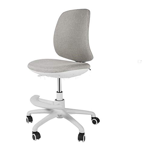 HOUKAI Computer Chair Furniture Series Big & Tall Rated Executive Swivel Ergonomic Office Chair with Adjustable Headrest (Color : D)