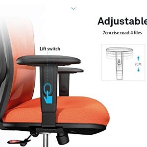 HOUKAI Executive Office Chair - High Back Office Chair with Footrest and Thick Padding - Reclining Computer Chair with Ergonomic Segmented Back, Black