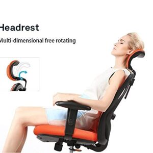 HOUKAI Executive Office Chair - High Back Office Chair with Footrest and Thick Padding - Reclining Computer Chair with Ergonomic Segmented Back, Black