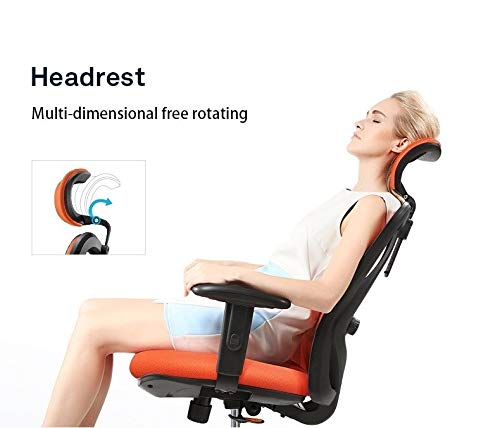 HOUKAI Executive Office Chair - High Back Office Chair with Footrest and Thick Padding - Reclining Computer Chair with Ergonomic Segmented Back, Black