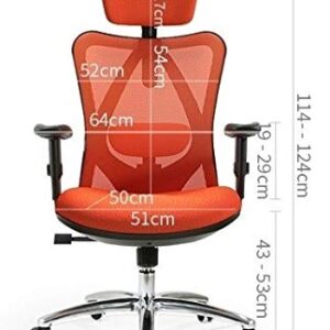 HOUKAI Executive Office Chair - High Back Office Chair with Footrest and Thick Padding - Reclining Computer Chair with Ergonomic Segmented Back, Black