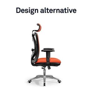 HOUKAI Executive Office Chair - High Back Office Chair with Footrest and Thick Padding - Reclining Computer Chair with Ergonomic Segmented Back, Black