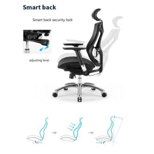 ZLBYB Ergonomic Computer Chair Home Waist Engineering Office Chair E-Sports Seat Human Design Multi-Function Adjustment
