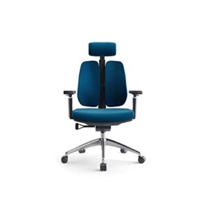 ZLBYB Creative Computer Chair Ergonomic Spine Chair Simple Waist Double Back Chair Mesh Office Chair (Color : Blue)