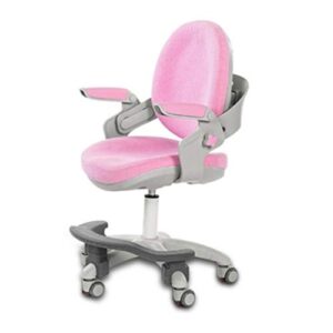 ZLBYB Children's Study Chair Primary School Home Desk Office Adjustable Lift Seat Back Chair Writing Chair Stool