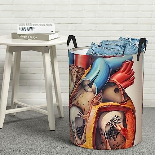 Human Anatomy Heart Chart Laundry Basket Protable Circular Laundry Hamper Storage Bin Organizer With Handles For Bathroom,Bedroom Clothes