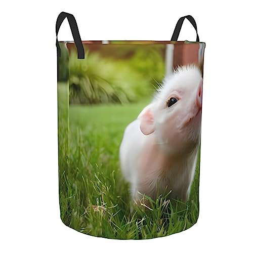 Naughty Pig Baby Laundry Basket Protable Circular Laundry Hamper Storage Bin Organizer With Handles For Bathroom,Bedroom Clothes