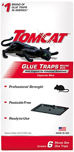 Tomcat Glue Traps Mouse Size with Eugenol for Enhanced Stickiness for Mice, Cockroaches, and Spiders, 6 Traps