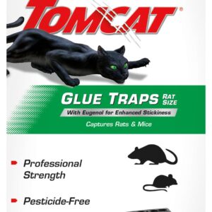 Tomcat Rat Trap with Immediate Grip Glue for Rats, Mice, Snakes, Cockroaches, Spiders, and Scorpions, Ready-To-Use, 2 Traps