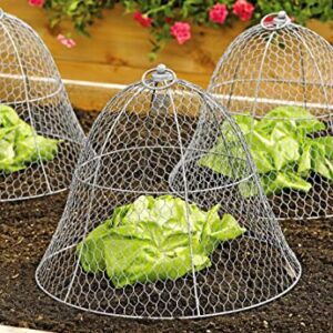 Gardener's Supply Company Sturdy Chicken Wire Cloche Plant Protector & Cover | Sturdy Metal Cage Garden Protection for Your Plants and Seedlings | No Assembly Required - 16" in Diameter x 12-1/2" H