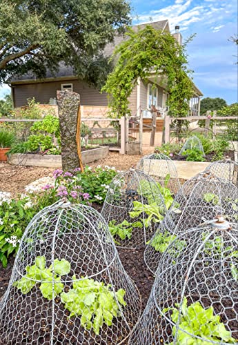 Gardener's Supply Company Sturdy Chicken Wire Cloche Plant Protector & Cover | Sturdy Metal Cage Garden Protection for Your Plants and Seedlings | No Assembly Required - 16" in Diameter x 12-1/2" H