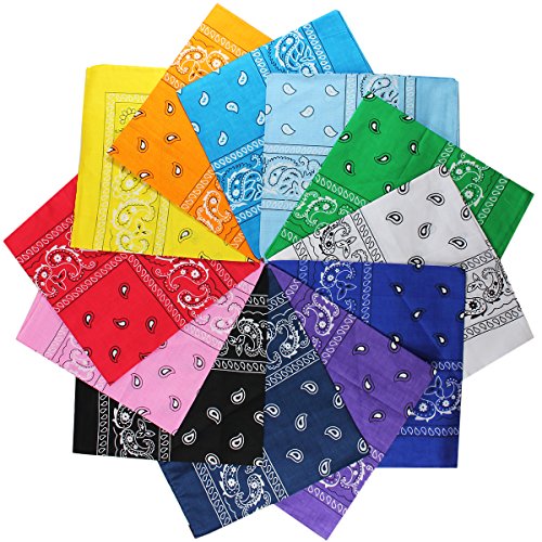 Paper Impressions 12 Piece Bandana Assorted Vibrant Colors and Paisley Patterns-100 pct Cotton