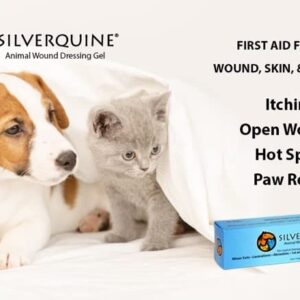 Silverquine Pet Wound & Itch Care | Dogs, Cats, Horses, Skin & Coat Care, Hydrogel Liquid Bandage, Healing on Cuts, Hot Spot, Burns, Skin Irritation, for Relief & Treatment, Vet Recommended 1.5OZ