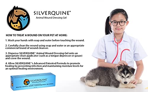 Silverquine Pet Wound & Itch Care | Dogs, Cats, Horses, Skin & Coat Care, Hydrogel Liquid Bandage, Healing on Cuts, Hot Spot, Burns, Skin Irritation, for Relief & Treatment, Vet Recommended 1.5OZ