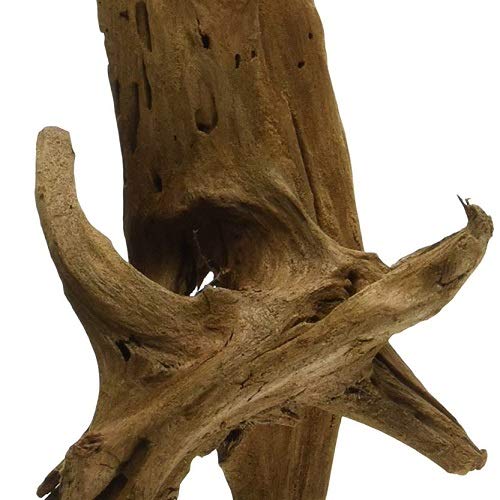 Galápagos (05285) Sinkable Driftwood Bed, Natural, Medium/11-13"