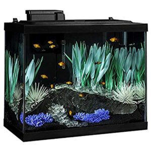 Tetra ColorFusion Aquarium 20 Gallon Fish Tank Kit, Includes LED Lighting and Decor