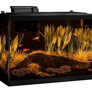 Tetra ColorFusion Aquarium 20 Gallon Fish Tank Kit, Includes LED Lighting and Decor