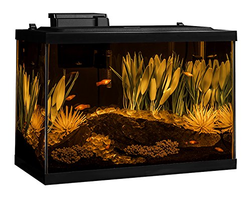 Tetra ColorFusion Aquarium 20 Gallon Fish Tank Kit, Includes LED Lighting and Decor