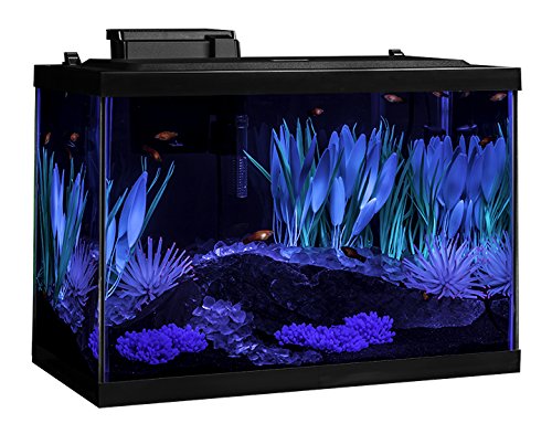 Tetra ColorFusion Aquarium 20 Gallon Fish Tank Kit, Includes LED Lighting and Decor