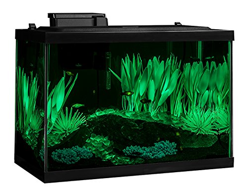 Tetra ColorFusion Aquarium 20 Gallon Fish Tank Kit, Includes LED Lighting and Decor