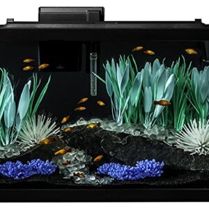 Tetra ColorFusion Aquarium 20 Gallon Fish Tank Kit, Includes LED Lighting and Decor