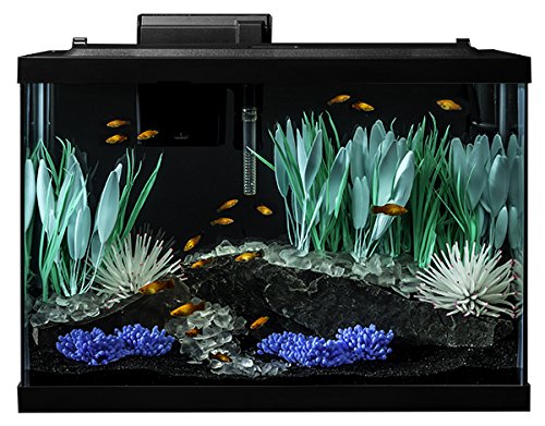 Tetra ColorFusion Aquarium 20 Gallon Fish Tank Kit, Includes LED Lighting and Decor