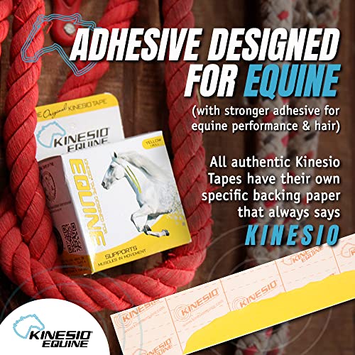 Kinesio Equine Tape - Tex Gold FP Horse Tape  -Tape Made Specifically for Horses  - 2”x 16’ Rolls - Green