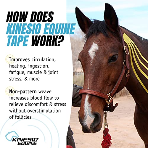 Kinesio Equine Tape - Tex Gold FP Horse Tape  -Tape Made Specifically for Horses  - 2”x 16’ Rolls - Green