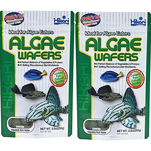 Hikari Usa Inc AHK21328 tropical Algae Wafer 8.8-Ounce [2-pk]