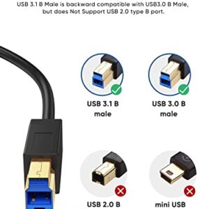 CableCreation USB 3.1 C to USB B Cable 4FT, USB Printer Cable USB B to C 10Gbps for Thunderbolt 3 Host MacBook Pro Air USB B Printer, External Hard Drive, Docking Station, Scanner, 1.2M Black