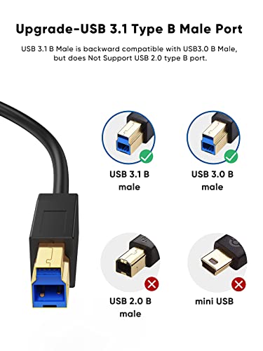 CableCreation USB 3.1 C to USB B Cable 4FT, USB Printer Cable USB B to C 10Gbps for Thunderbolt 3 Host MacBook Pro Air USB B Printer, External Hard Drive, Docking Station, Scanner, 1.2M Black