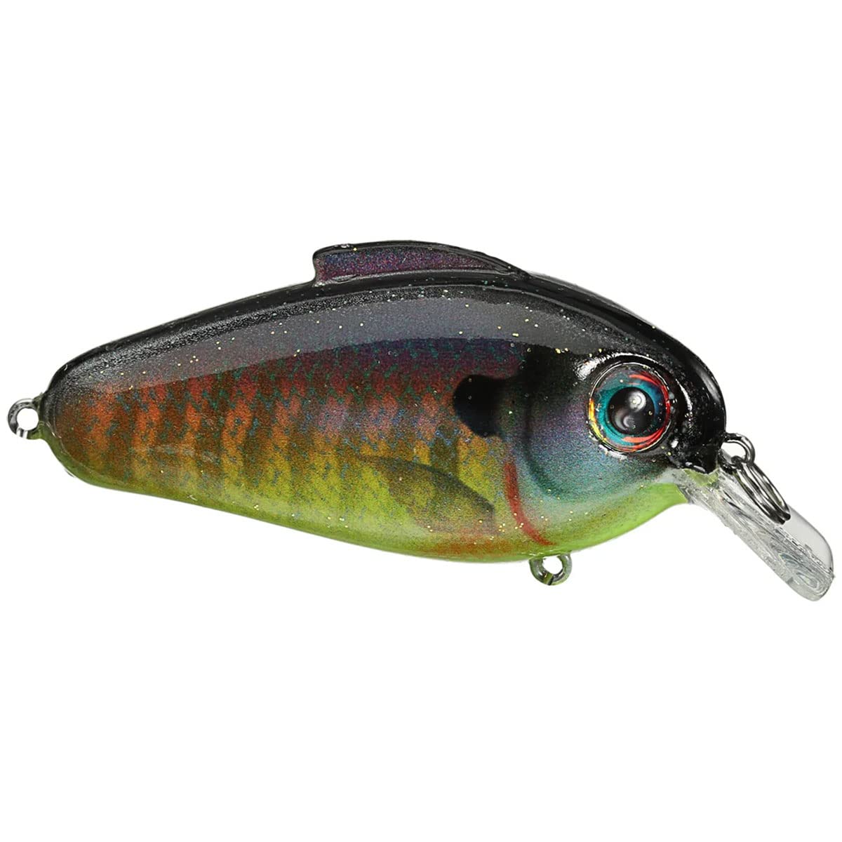 Bill Lewis Lures Lifelike Echo 1.75 Squarebill Crankbait Fishing Wobble Lure for Shallow Freshwater Saltwater, Sunrise Perch