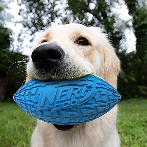 Nerf Dog Tire Football Dog Toy with Interactive Squeaker, Lightweight, Durable and Water Resistant, 6 Inch Diameter for Medium/Large Breeds, Single Unit, Blue (1571)