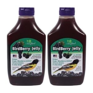 songbird essentials 20 ounce birdberry jelly squeeze bottle bird feeder jelly, grape and blackberry jelly made just for birds [pack of 2]