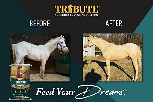 TRIBUTE Kalmbach Feeds Growth Pellets for Horse, 50 lb